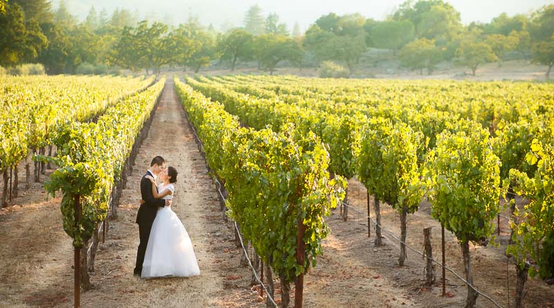 Testimonials from past bride on their Favorite Wedding Photographer